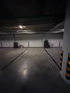 ����� �����������. ����