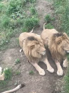 ������� �� �� ��� ����
