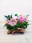 ���������. ����
