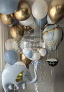 ���� ���������. ����