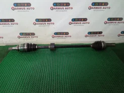 ������ Toyota Vitz 4341052040 SCP10 1SZFE, �������� ������ 4341052040 ����