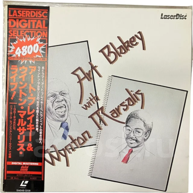 LD ���� ����