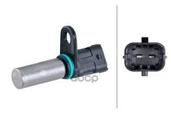 ������ ������� �������� �����. ���� / ������ ��-� PT / Hella ���. 6PU 009 163-031 6PU009163031 ����