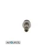 ������� VAG Toledo II/Bora/Golf IV 2,3 V5, Sharan/Galaxy 2,8 V6, Passat 2,8/2,9 VR6 1006209759 ����
