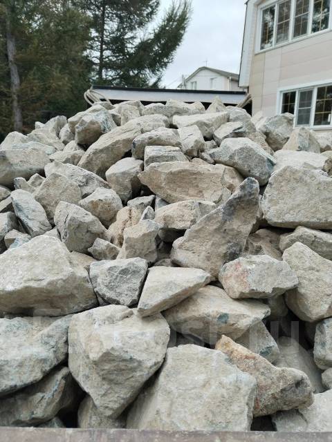�����. ����