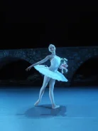 �����. ����