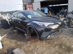 Toyota C-HR. NGX50, 8NR ����