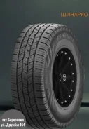 Fortune FSR-305. ������, 2025 ���, ����� ����