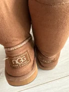 ����. 37 ����
