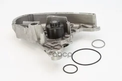 ����� ����������� �������� Continental ���. WP6089 WP6089 ����