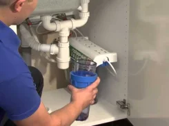 ������ �����������. ����