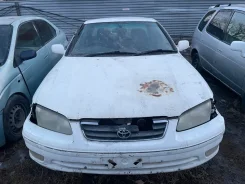 Toyota Camry Gracia ����