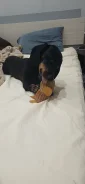 �����. ����