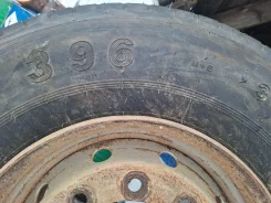 Annaite 396. �����������, 2025 ���, ����� ����