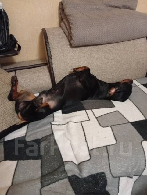 �����. ����