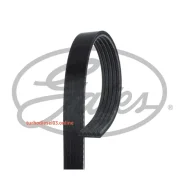 ������ ������������ XF Gates 5PK683 5PK683 ����