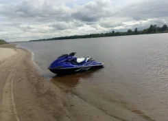 Yamaha FZR. 2010 ��� ����