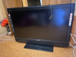 Sony. ������ ����