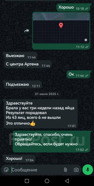 ������������� ���� ���. ����
