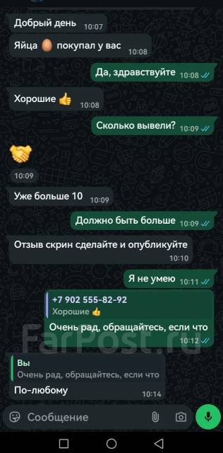������������� ���� ���. ����