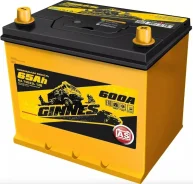 Ginnes