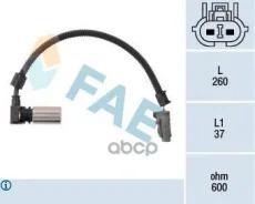 ������ ���� ��������� FAE ���. 79086 79086 ����