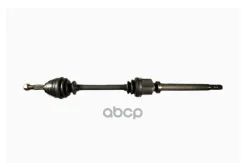 ������� �������� ������ Iberis ���. IB6004 IB6004 ����