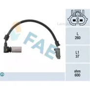 ������ ���� ��������� 79086 ����