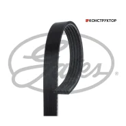 ������ ������������ XF Gates 5PK683 5PK683 ����