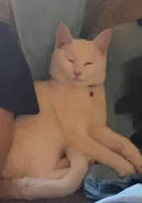 �����. ����