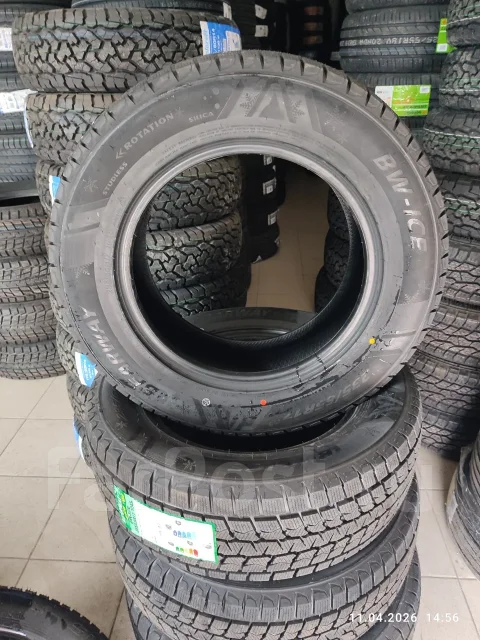 Bearway BW-Ice. ������, ��� �����, 2025 ���, ����� ����
