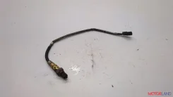 ������ ���� Renault Scenic 2003-2009 21067394 7700107433 ����