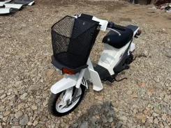 Suzuki Mollet. 50����. ��., ��������, ���������, ��� ������� ����
