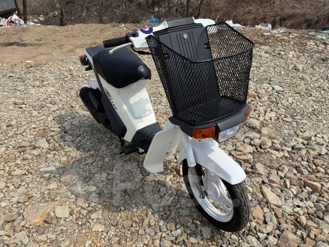 Suzuki Mollet. 50����. ��., ��������, ���������, ��� ������� ����