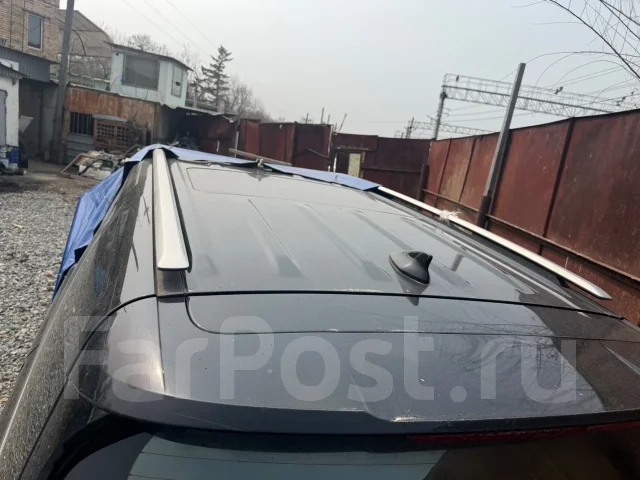 Kia Carnival ����