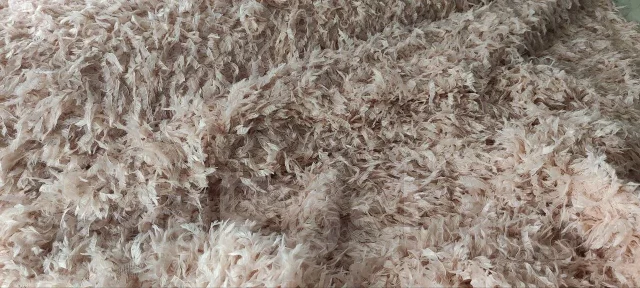 ���. ����