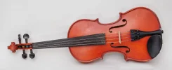 �������. ����