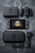 Nintendo Switch ����
