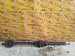 ������ Ford Focus 2010 1726946 CB4 SHDC; HWDA; HWDB; SHDA; SHDB, �������� ������ 1726946 ����