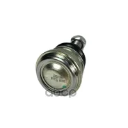 ����� ������� ������ �������� �������� Iberis ���. IB117122 IB117122 ����