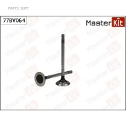 ������ ��������� 77BV064 ����