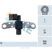 ������ ���� ��������� 79029 ����