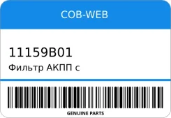 ������ ���� � ��������� ���������� ������� 11159B-01 (SF159B/071021) COB-WEB 11159B01 ����