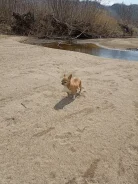������. ����
