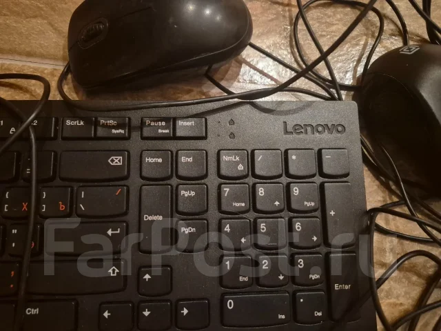 ����������. ����