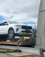 Haval F7x ����