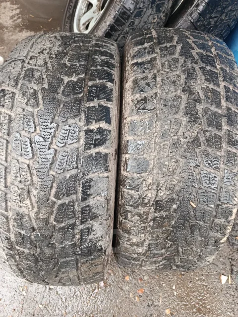 Toyo Winter Tranpath S1. ������, �/�, ����� 40 % ����