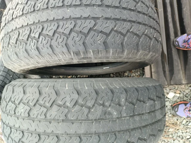 Lassa Competus A/T. ����� at, 2023 ���, �/�, ����� 40 % ����
