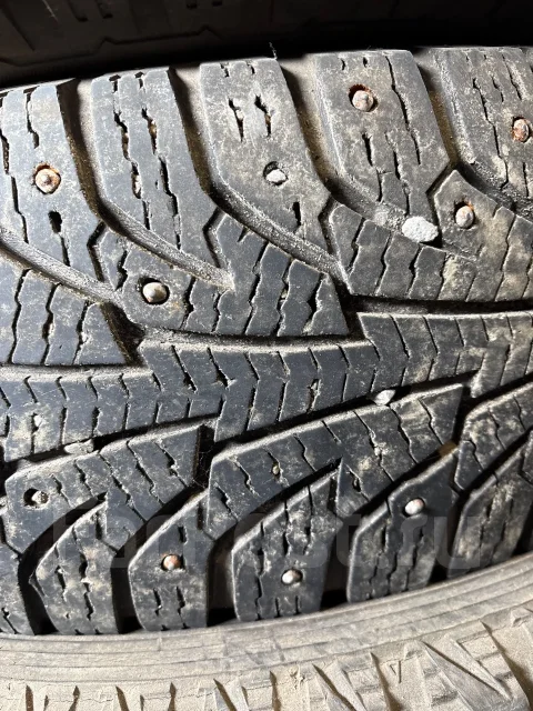 Nordman C. ������, ����������, �/�, ����� 15 % ����