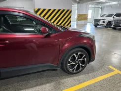 ����� �����������. . ��� ������ ����
